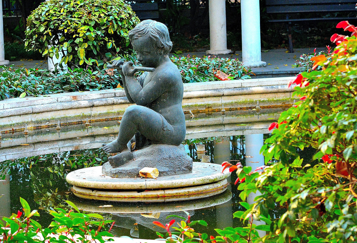 尼康7100和卡尔察司 85mm F/1.4