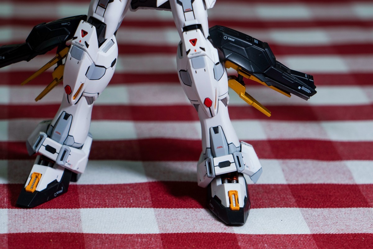 a7Rm4+FE 24-105mm F4.0 G OSS ( 生日礼物 )