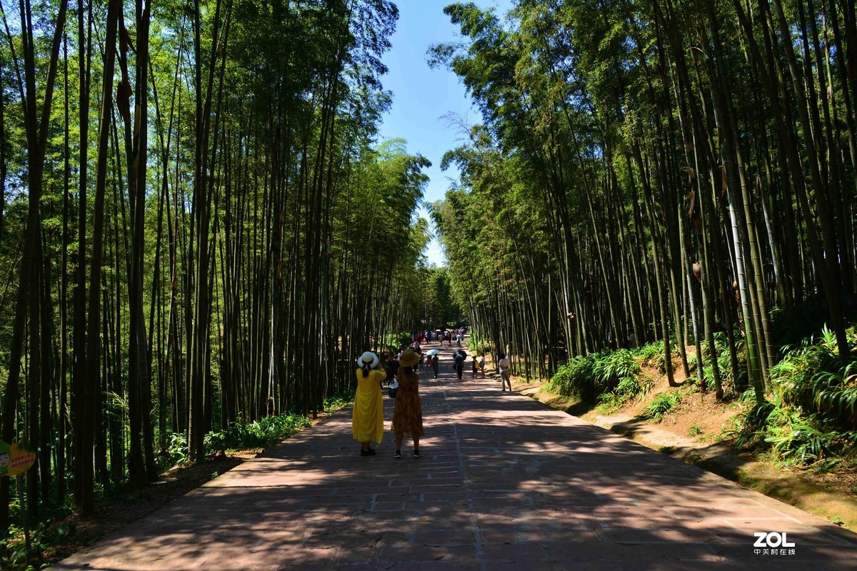 宜宾蜀南竹海游（二）