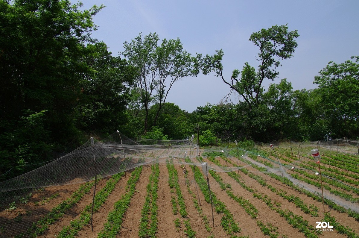 竹岔岛村纪实速写22p