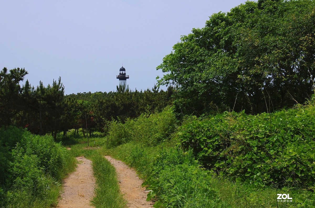 竹岔岛村纪实速写22p