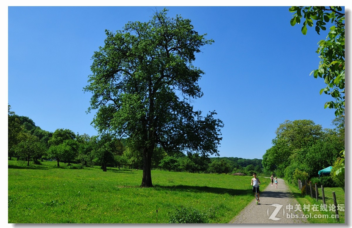 “悠闲”——德国人民的周末生活