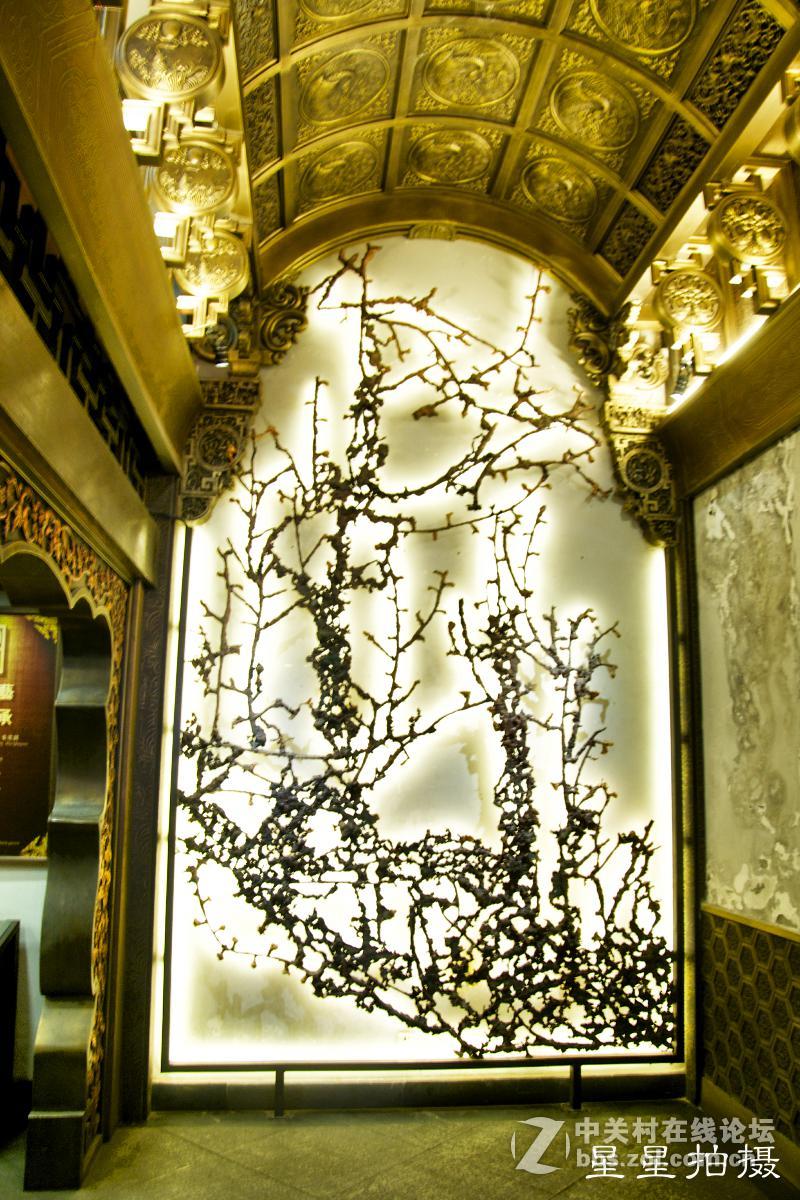 贺菏泽星空(中国)开坛