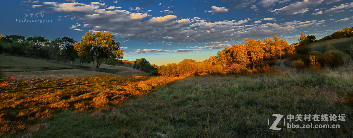 【塞罕坝国家森林公园】
