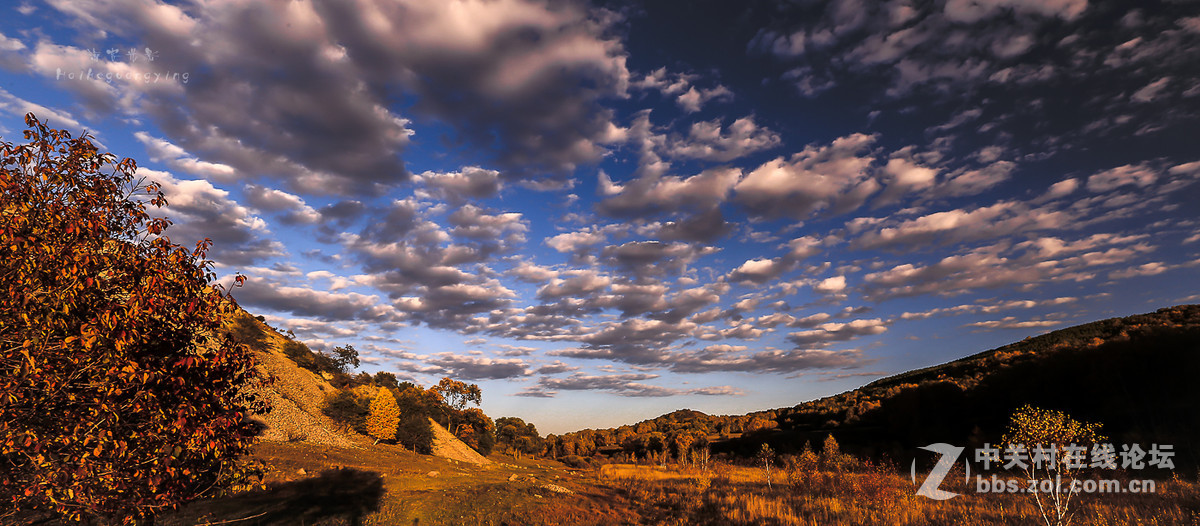 【塞罕坝国家森林公园】