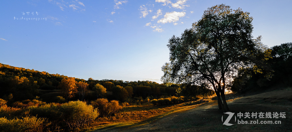 【塞罕坝国家森林公园】