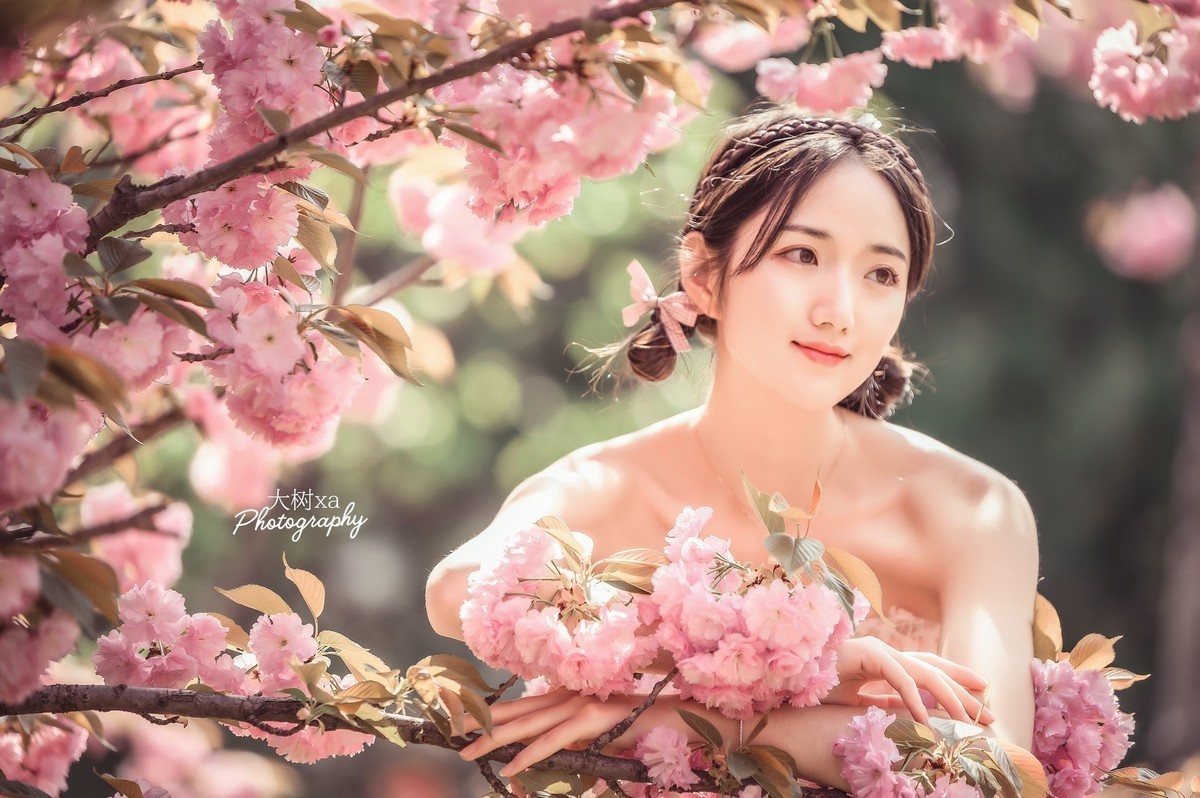 《樱花——少女粉》