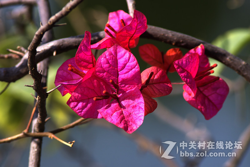 第一次玩骚尼A6000