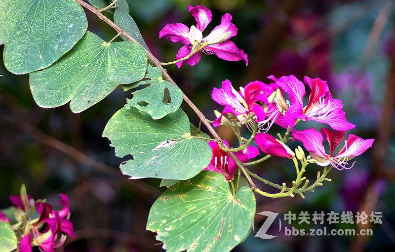 第一次玩骚尼A6000