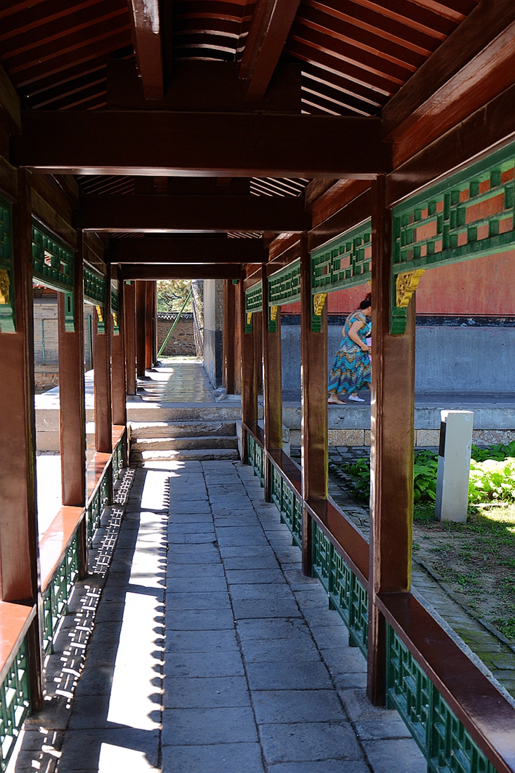 #2014摄影精彩回顾#——我的成长之路