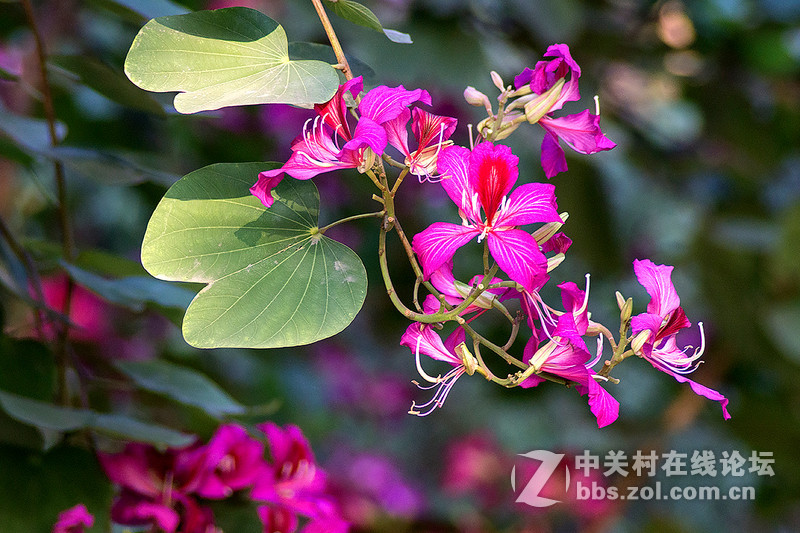 第一次玩骚尼A6000