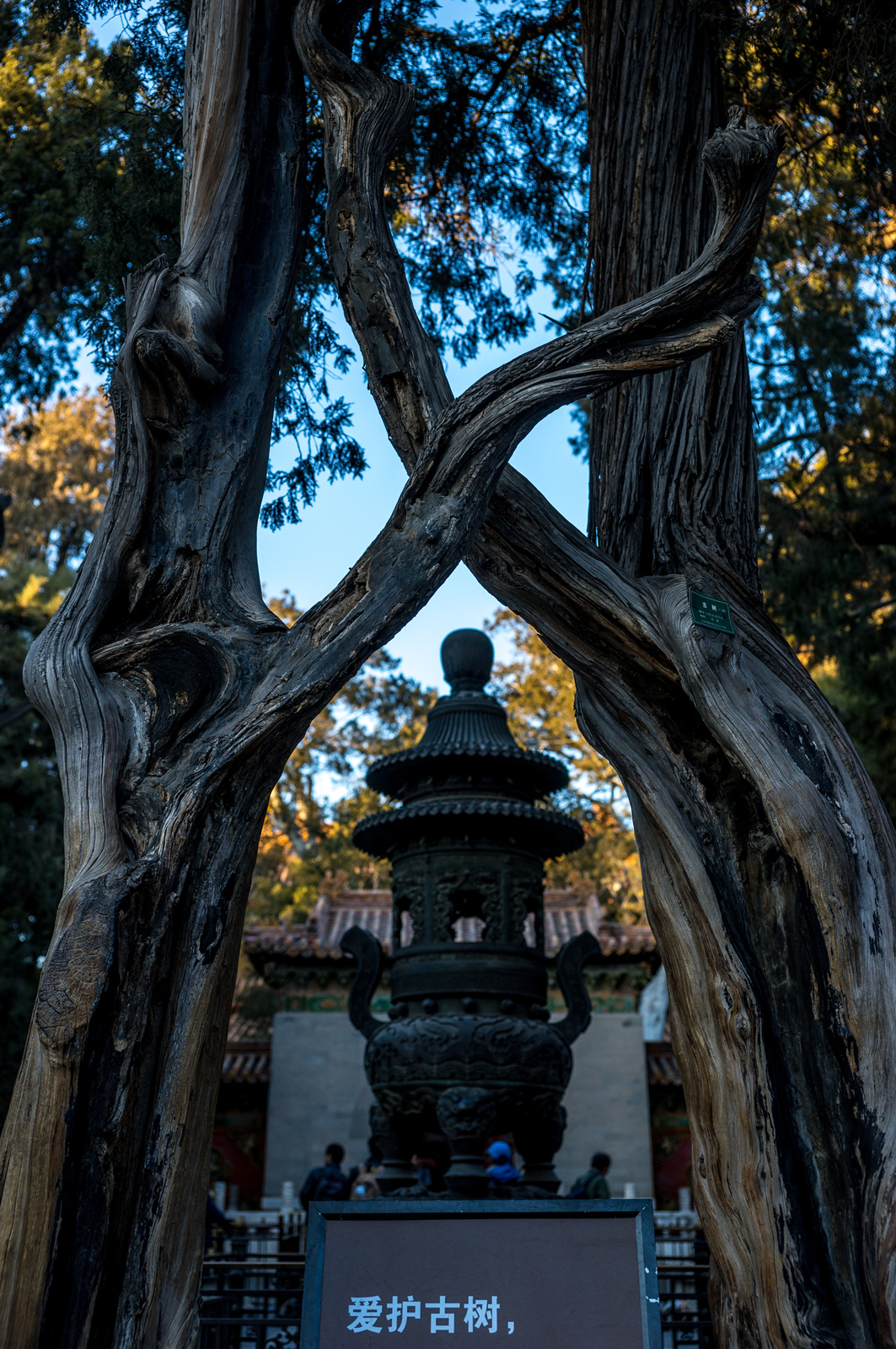 冬季游北京1-故宫