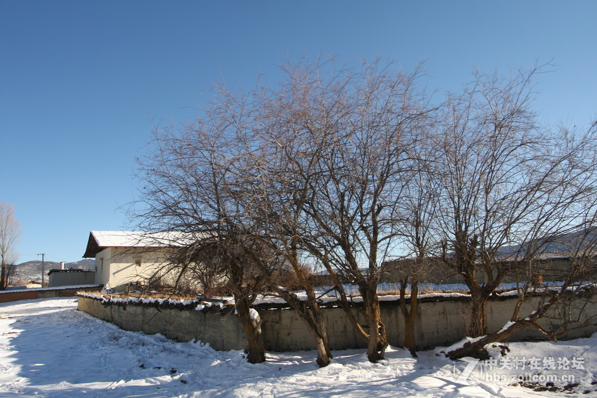 刚学摄影，借用同事和公司的相机，请老师们批评指正。准备入尼康D750，老婆划款就下手