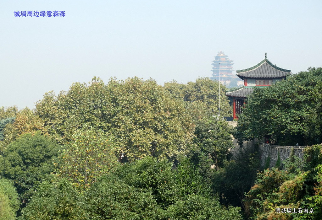 拍遍南京明城墙之八：挹江门至定淮门