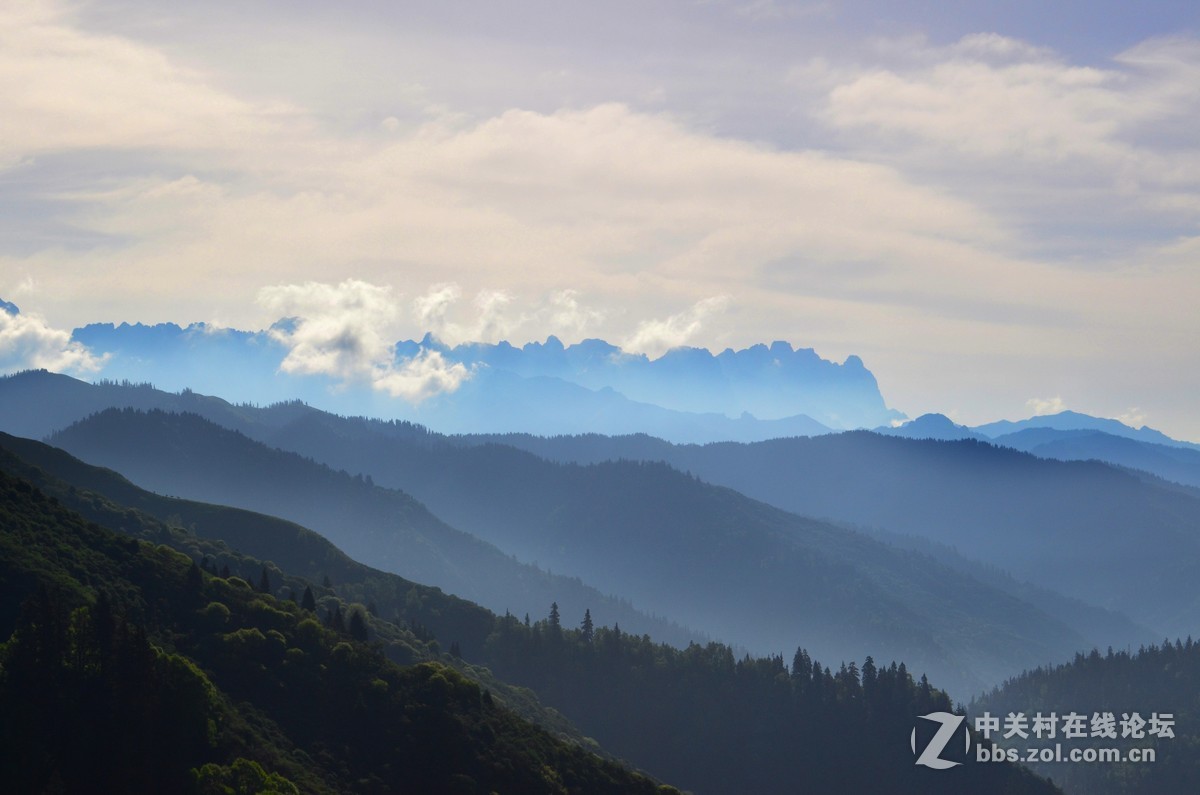 #寻找尼康镜头中的最美中国#九色香巴拉——醉人的迭部阿班牧场