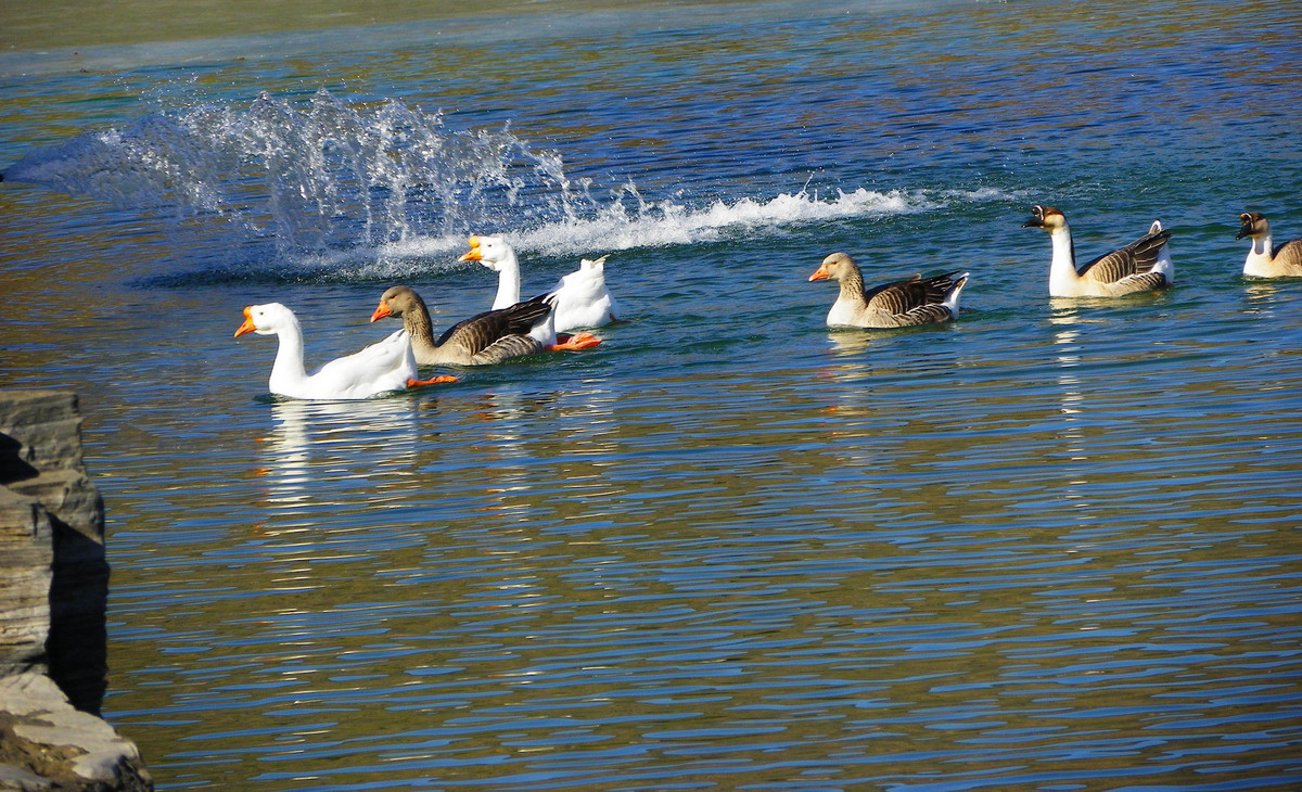 腊八最美的冬天中关村在线摄影论坛