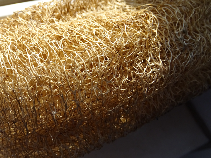 刚入的hx400，试机图，大家看看效果。无修正，原图缩小出图。