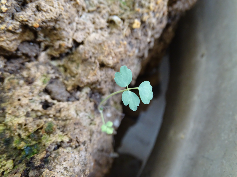 刚入的hx400，试机图，大家看看效果。无修正，原图缩小出图。