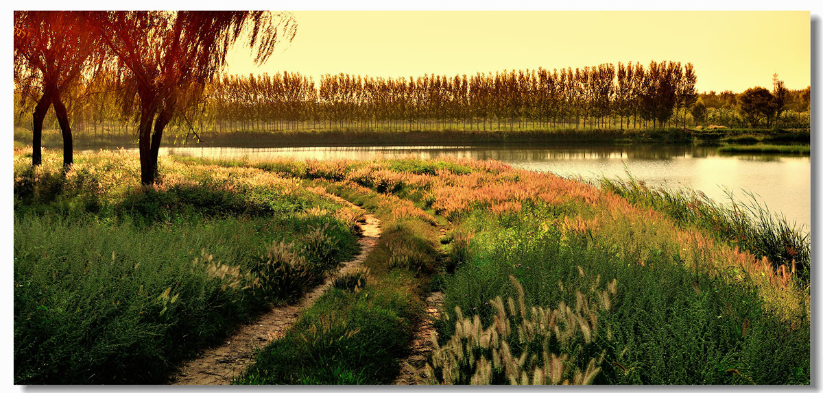 #回忆2014#【老张光影回首2014第三季》深爱尼康痴迷光影——老张的光与影