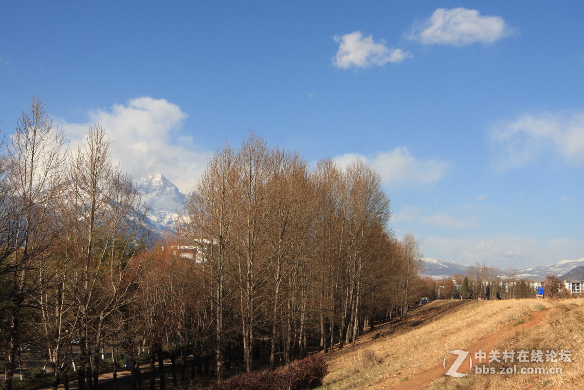 刚学摄影，借用同事和公司的相机，请老师们批评指正。准备入尼康D750，老婆划款就下手
