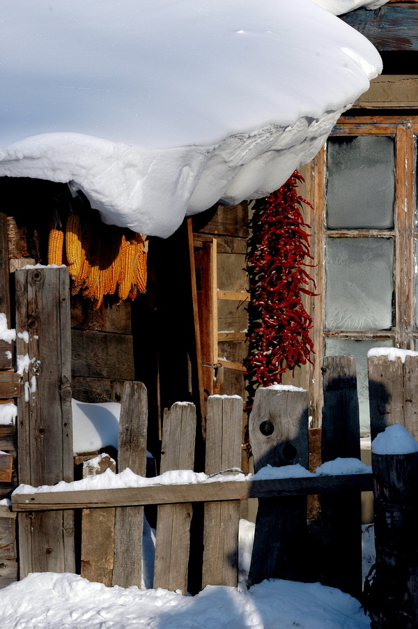 《我的尼康印象-我爱塞北的雪、我爱D70》