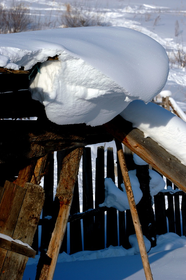 《我的尼康印象-我爱塞北的雪、我爱D70》