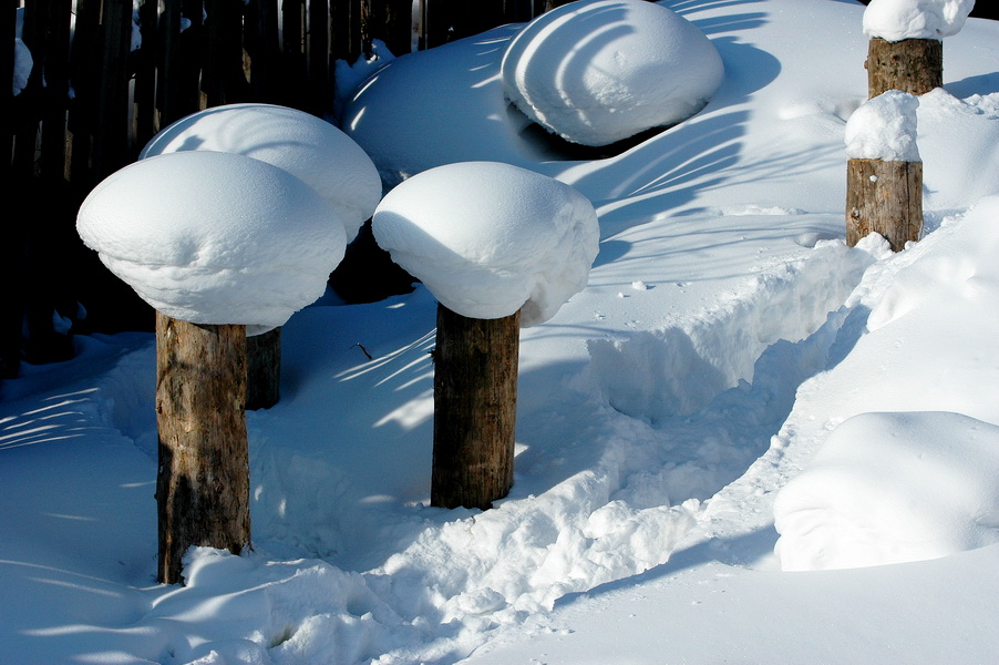 《我的尼康印象-我爱塞北的雪、我爱D70》