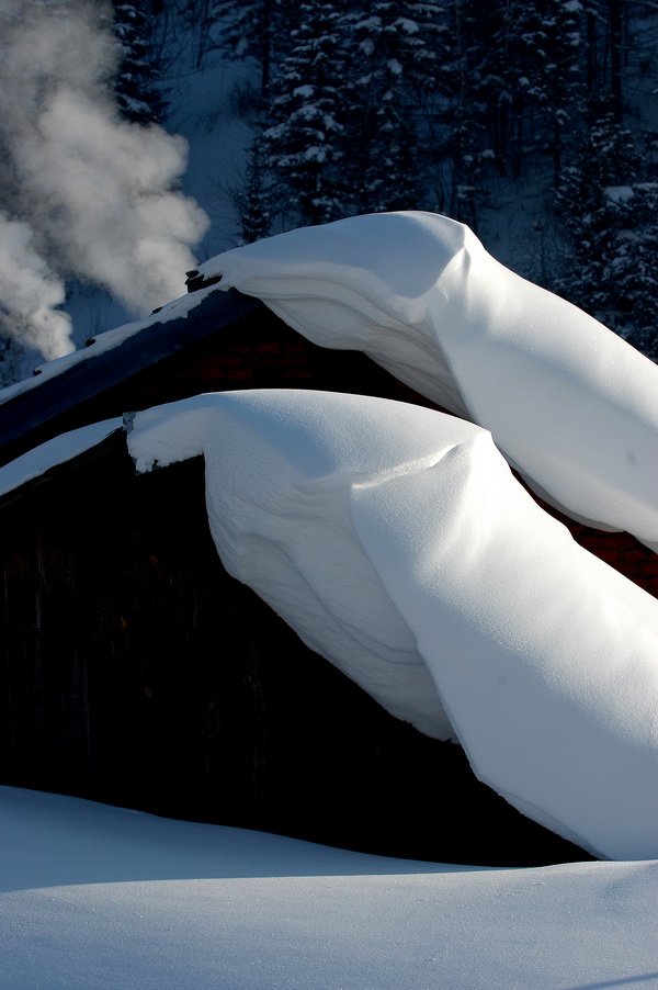 《我的尼康印象-我爱塞北的雪、我爱D70》