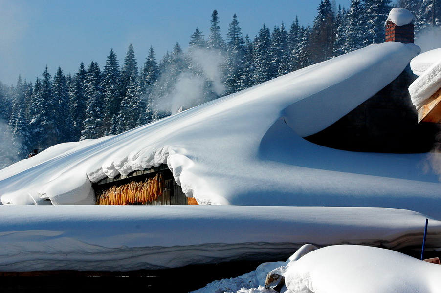 《我的尼康印象-我爱塞北的雪、我爱D70》