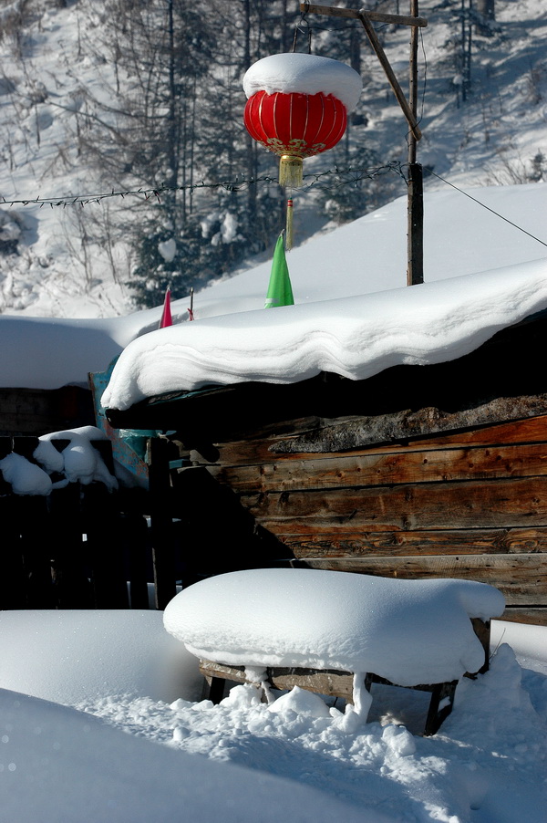 《我的尼康印象-我爱塞北的雪、我爱D70》