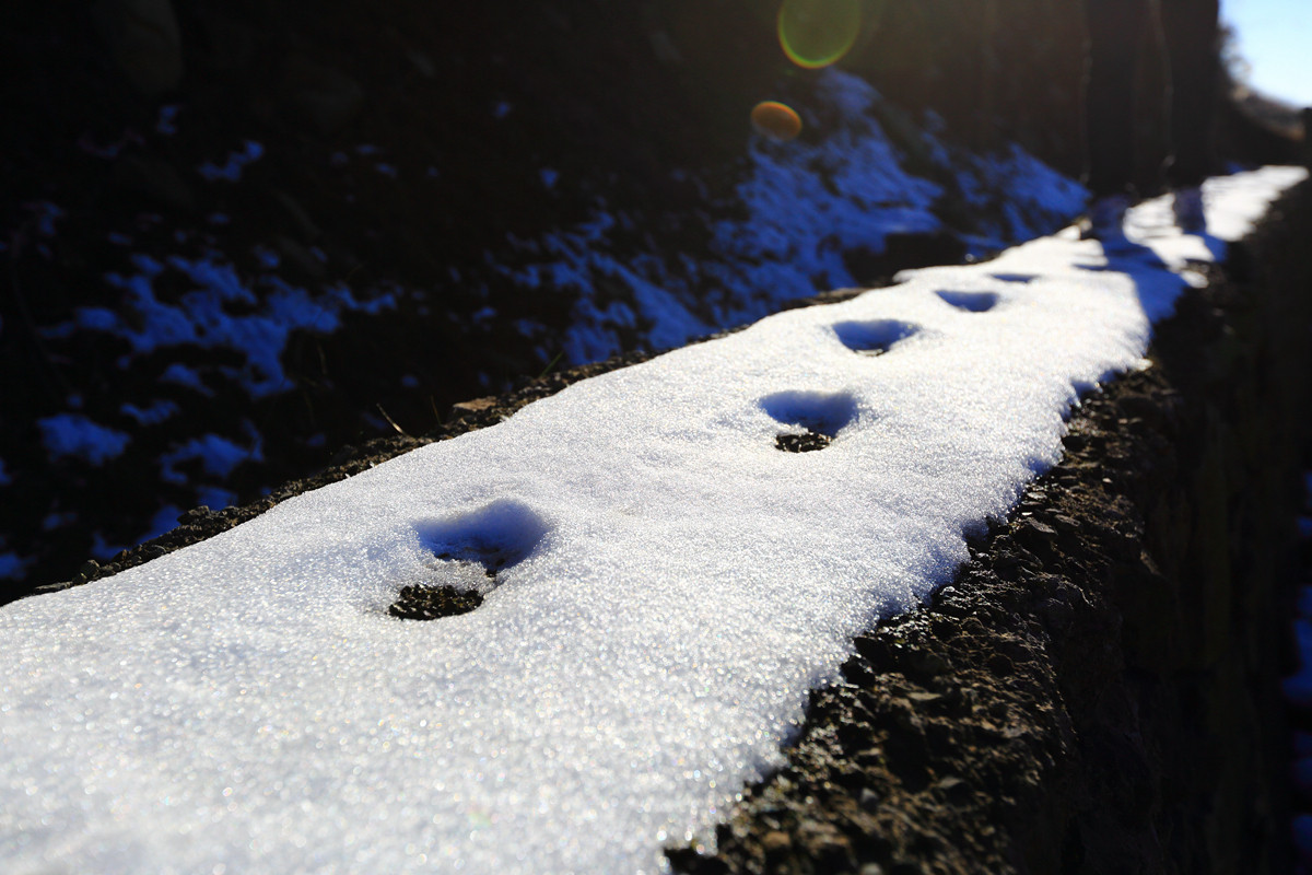 江南滑雪，时机未到
