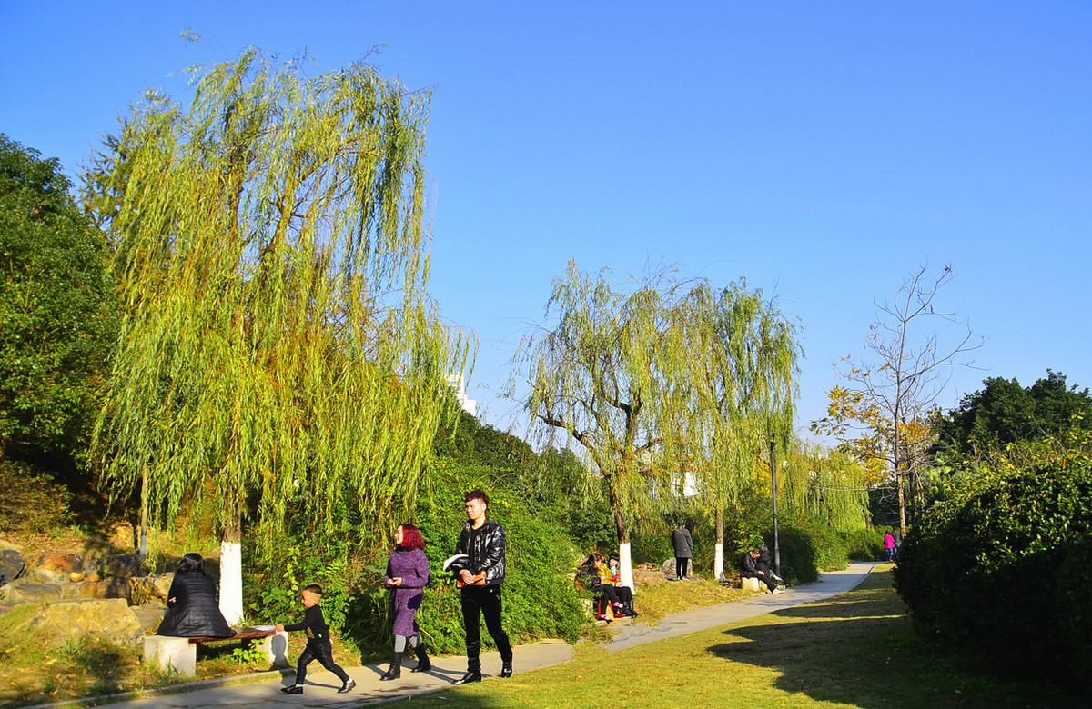 冬日小景   3