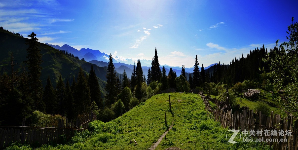 #寻找尼康镜头中的最美中国#九色香巴拉——醉人的迭部阿班牧场