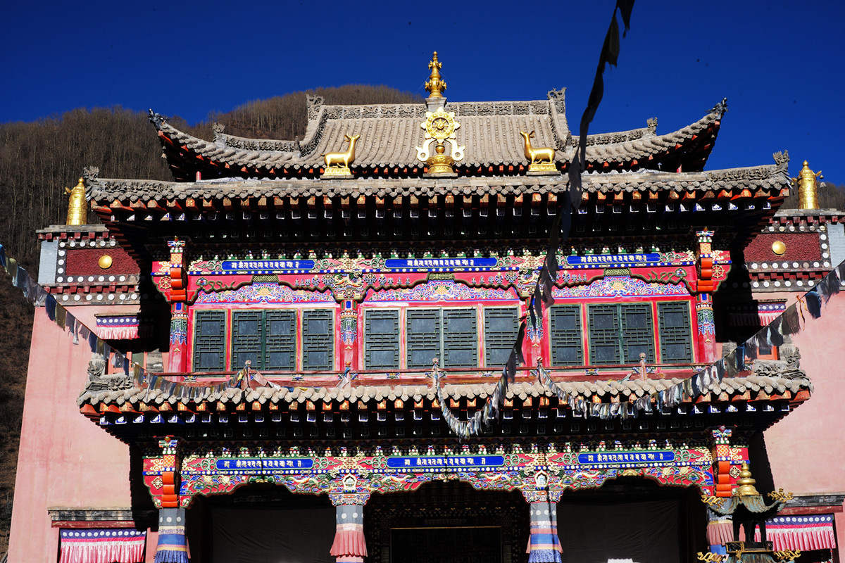 记录青海七里寺