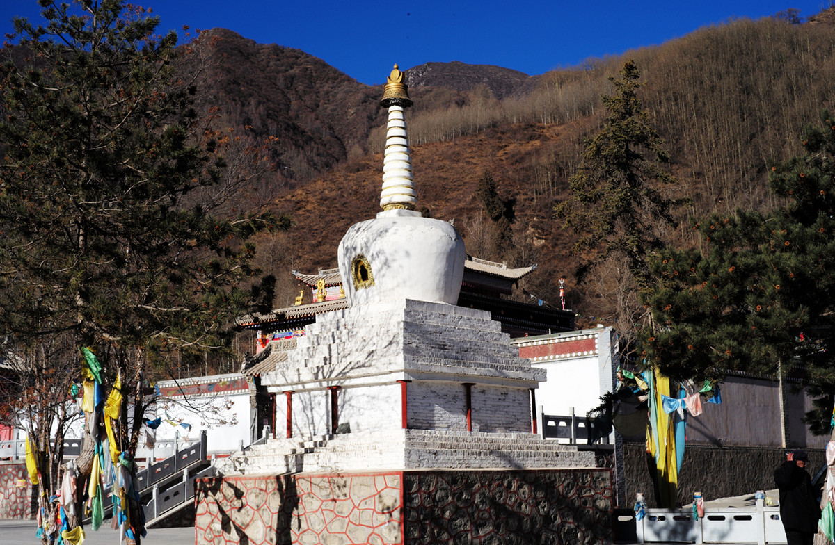 记录青海七里寺