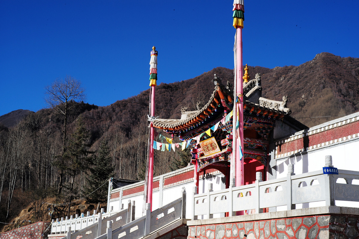 记录青海七里寺