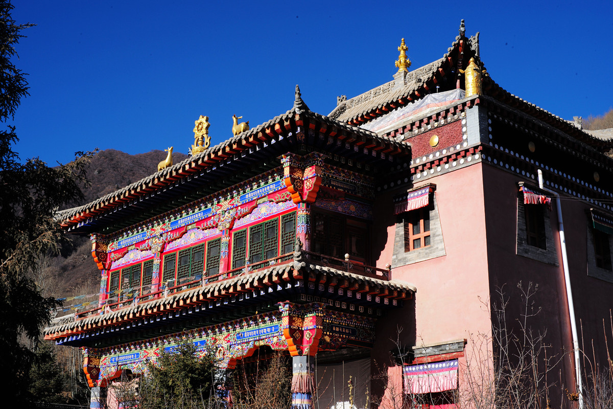 记录青海七里寺