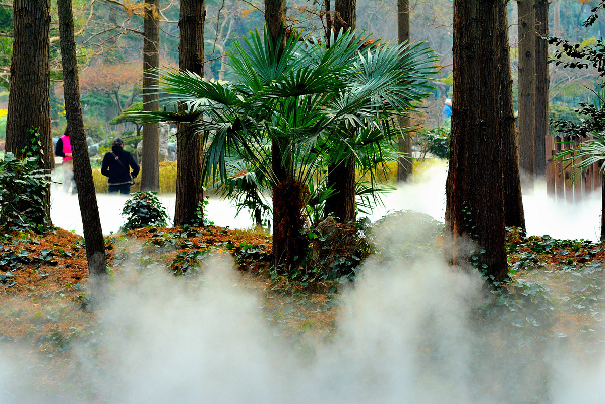 尼康7100和卡尔察司 85mm F/1.4