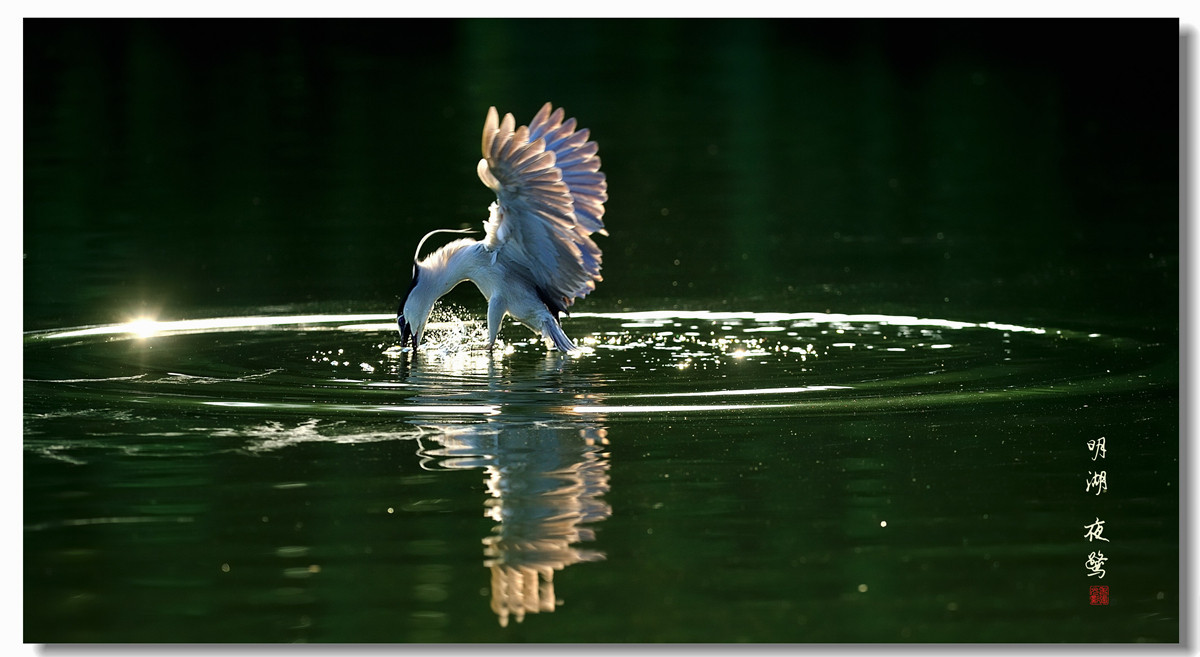 #回忆2014#【老张光影回首2014第三季》深爱尼康痴迷光影——老张的光与影