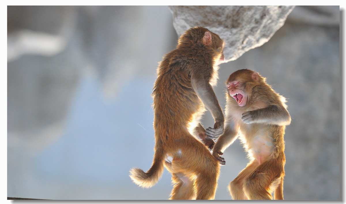 #回忆2014#【老张光影回首2014第三季》深爱尼康痴迷光影——老张的光与影