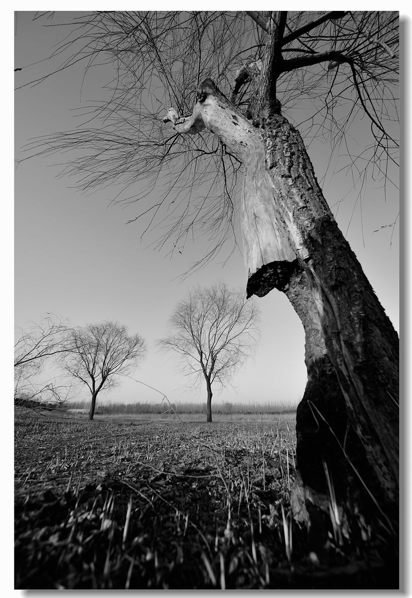 #回忆2014#【老张光影回首2014第三季》深爱尼康痴迷光影——老张的光与影