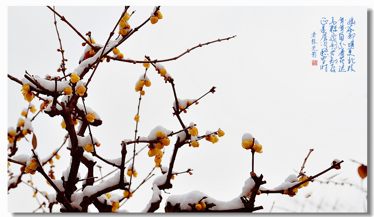 #回忆2014#【老张光影回首2014第三季》深爱尼康痴迷光影——老张的光与影