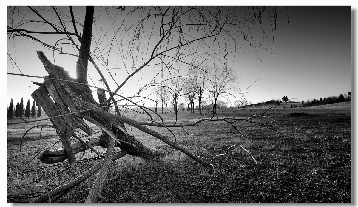 #回忆2014#【老张光影回首2014第三季》深爱尼康痴迷光影——老张的光与影