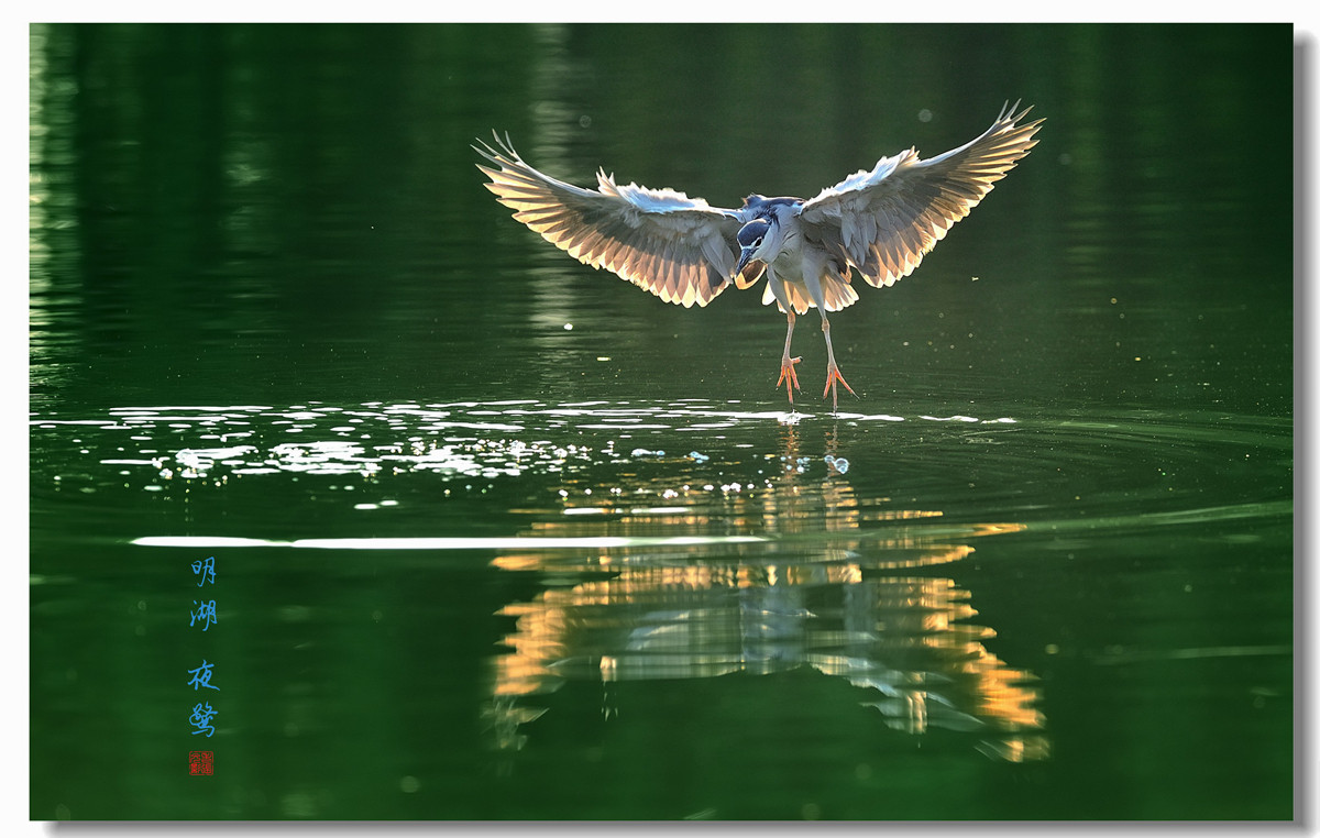 #回忆2014#【老张光影回首2014第三季》深爱尼康痴迷光影——老张的光与影