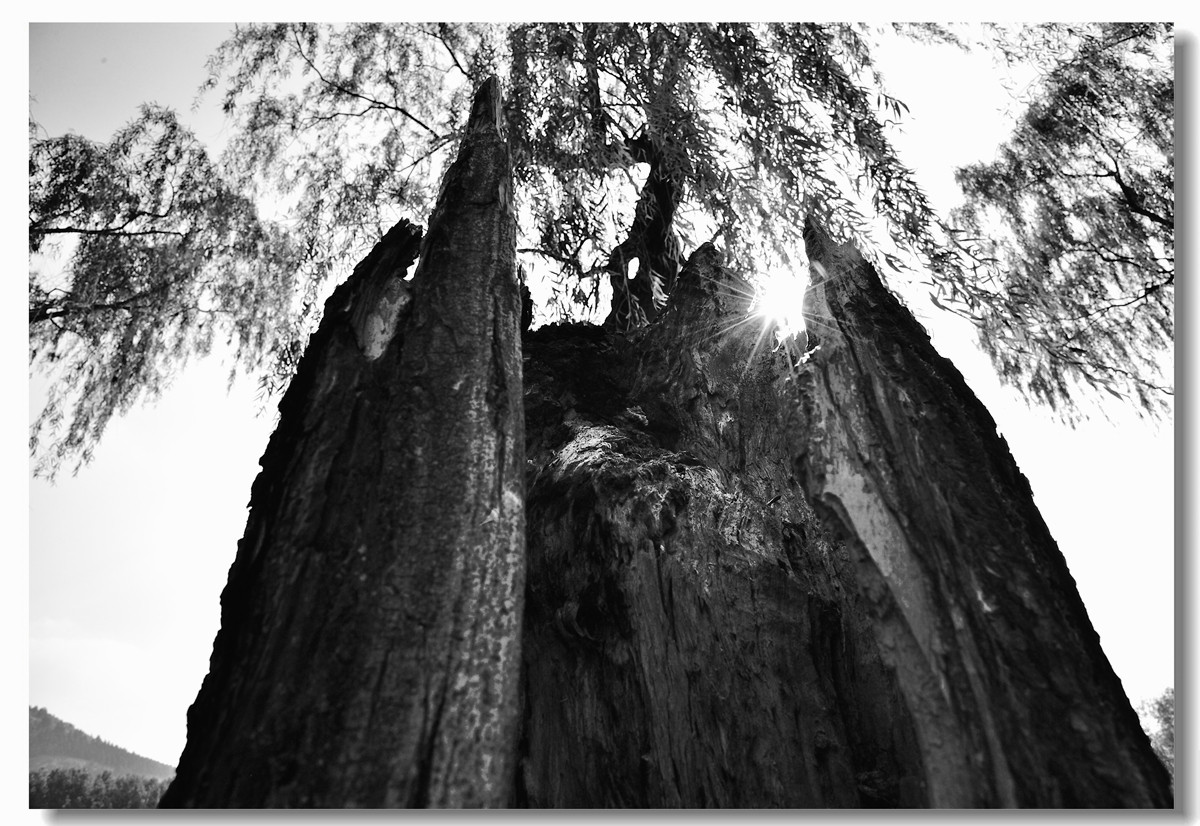 #回忆2014#【老张光影回首2014第三季》深爱尼康痴迷光影——老张的光与影