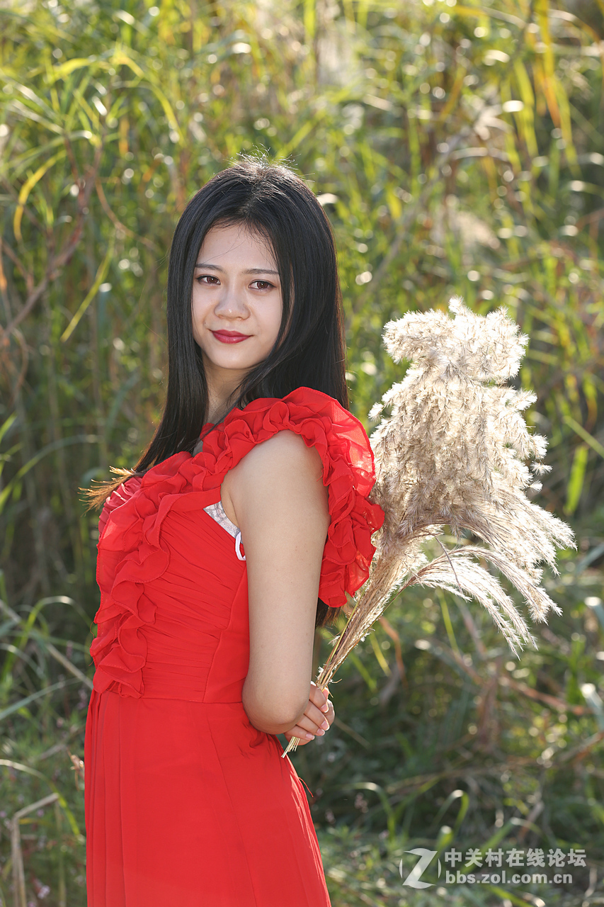 带美女来贺zol菏泽论坛成功开坛文亭好友出任首任执行官