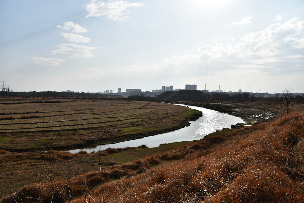 再发一些未做后期的照片，请各位师友指教。