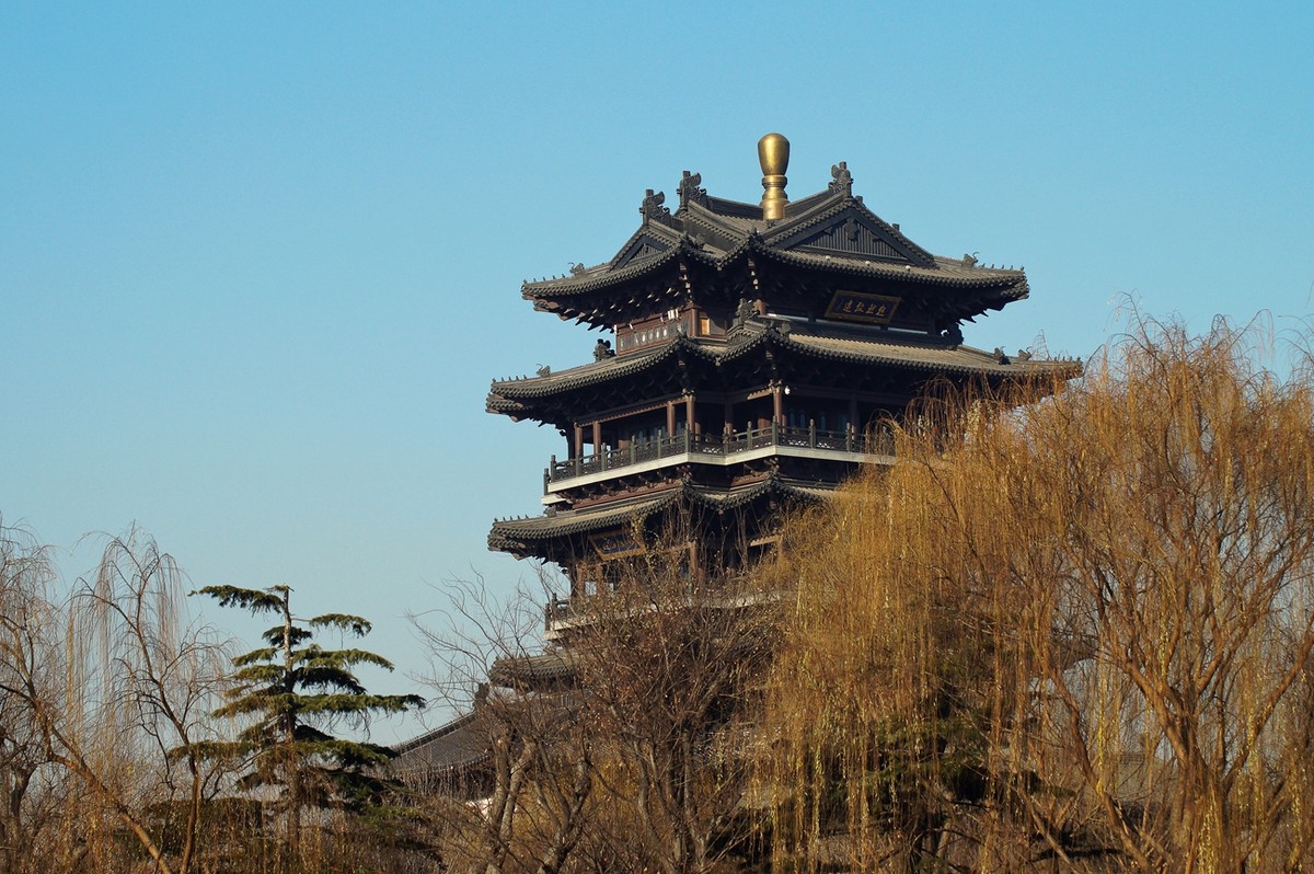 新年随拍——明湖冬景似春光