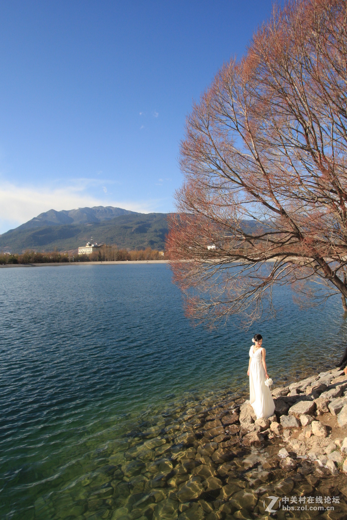 刚学摄影，借用同事和公司的相机，请老师们批评指正。准备入尼康D750，老婆划款就下手