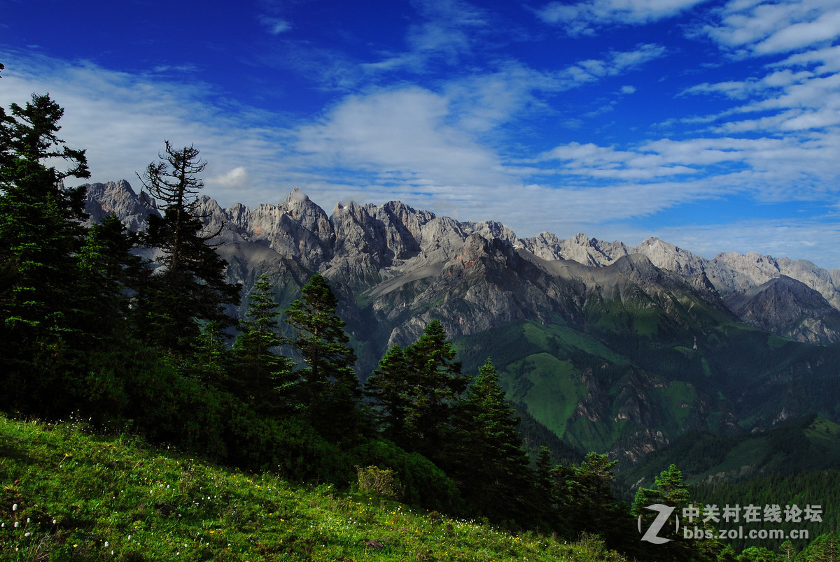#寻找尼康镜头中的最美中国#九色香巴拉——醉人的迭部阿班牧场
